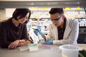 image of Research Students conducting a study